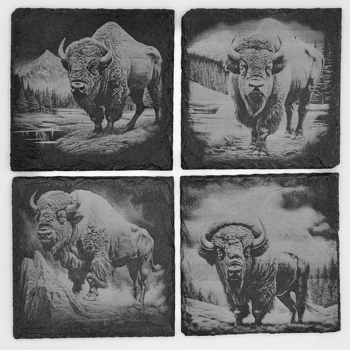 Slate Coasters - Buffalo